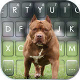 Fundo do Teclado Cool Pitbull ícone