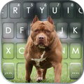 Фон клавиатуры Cool Pitbull
