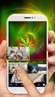 Colorfulrasta Klavye Teması Ekran Görüntüsü 3