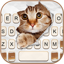 Curious Cat Fondo de teclado APK