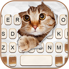 Fond de clavier Curious Cat icône