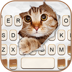 Fundo do Teclado Curious Cat ícone