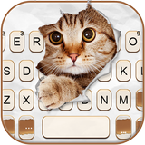 Fundo do Teclado Curious Cat ícone