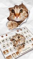 Fond de clavier Curious Cat Affiche