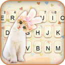 Cute Bunny Kitten Fondo de tec APK