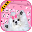 Cute Bow Dog Thème APK