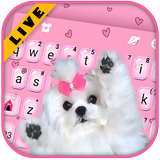 Bàn phím Cute Bow Dog biểu tượng