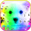 ثيم لوحة المفاتيح Cute Colorfu APK