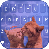 Cute Kitten Love icon