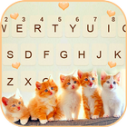 Cute Kittens simgesi