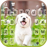 Cute Lab Puppy icon