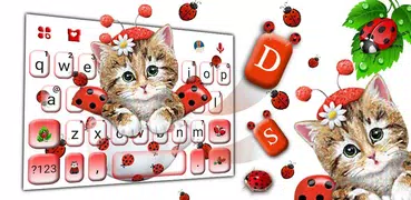 Cute Ladybird Kitten Keyboard 