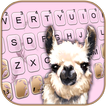 Cute Llama Keyboard Background