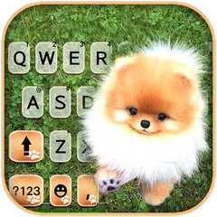 Cute Puppy Pom Tastaturhinterg