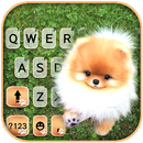 Cute Puppy Pom Tastaturhinterg APK