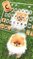 Cute Puppy Pom Screenshot 1