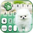 Cute Puppy White Fondo de tecl