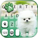 Фон клавиатуры Cute Puppy Whit APK