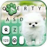 Cute Puppy White icono