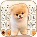 Cute Puppy Thème APK