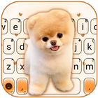 Cute Puppy icono