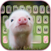 Fundo do Teclado Cute Piggy
