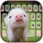 Cute Piggy simgesi