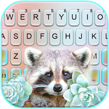Cute Raccoon icon