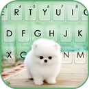 خلفية الكيبورد Cute Teacup Pup APK