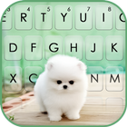 Cute Teacup Puppie icon