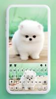 Cute Teacup Puppie poster