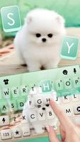 Cute Teacup Puppie screenshot 1