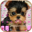 Cute Tongue Cup Puppy Keyboard APK