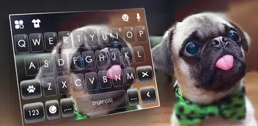 Cute Tongue Pug Keyboard Backg