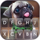خلفية الكيبورد Cute Tongue Pug APK