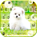 Cute White Puppy Keyboard APK