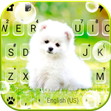 Cute White Puppy icono