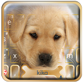 Cuteness Puppy Keyboard Theme