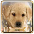 Cute Puppy