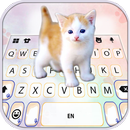 Cutie Kitten Klavye Arkaplanı APK