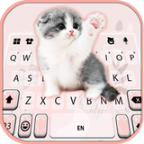 Cutie Kitty icon