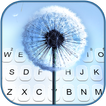 Dandelion Tastaturhintergrund