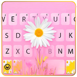 Daisy Flower Keyboard Theme