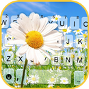 Fond de clavier Daisy Summer G APK