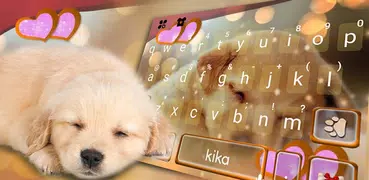 Dynamic Sleeping Puppy 主題鍵盤