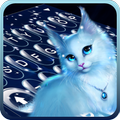 Elegant Kitty Night Keyboard Theme
