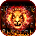 Fire Roar Lion Keyboard Background