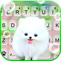 Fluffy Cute Dog Keyboard Background