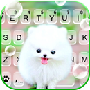 Teclado Fluffy Cute Dog APK