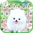 الكيبورد Fluffy Cute Dog أيقونة